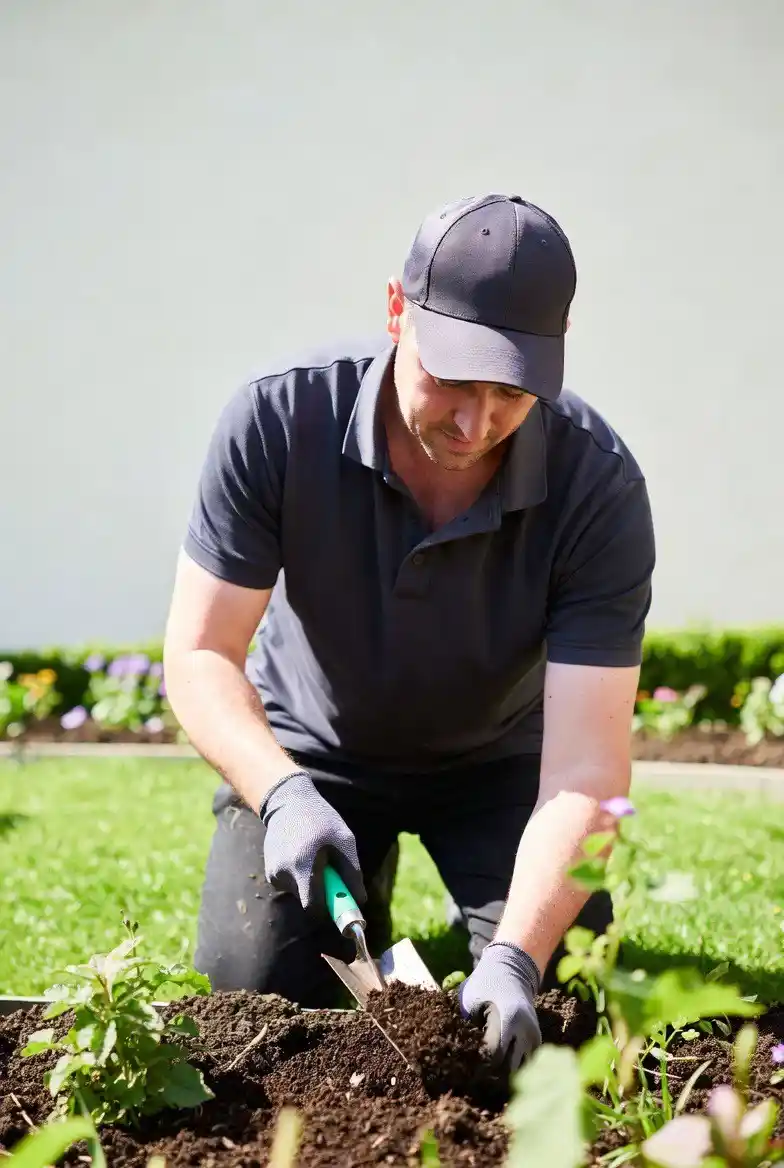 Planting and soil care image