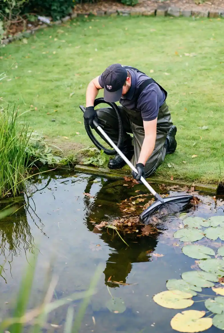 Pond cleaning image