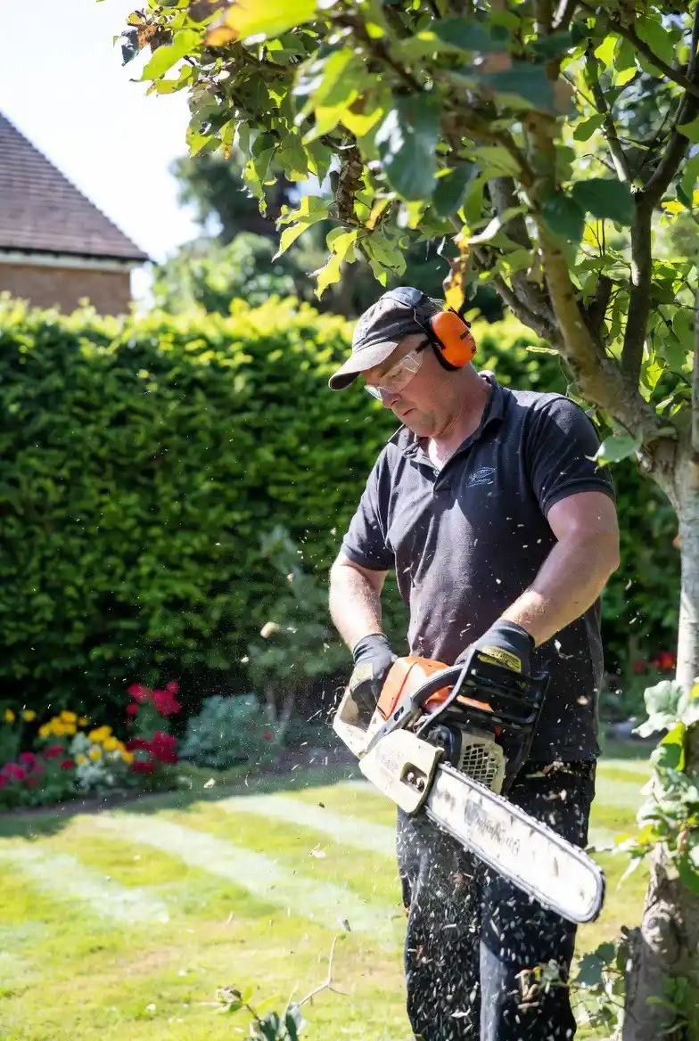 Tree services image