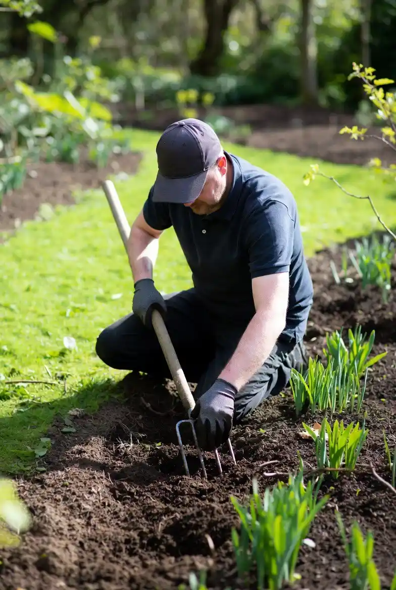 Spring garden care