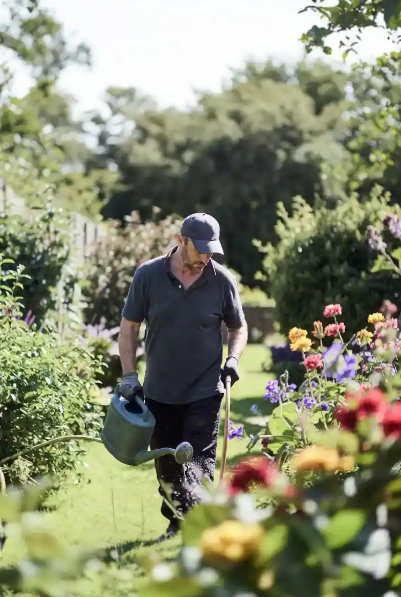 Summer garden care