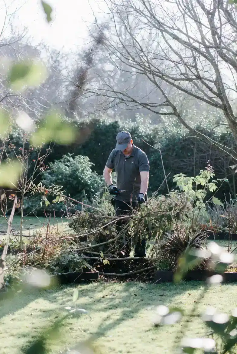 Winter garden care
